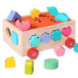 Montessori Wooden Shape Sorter Toy