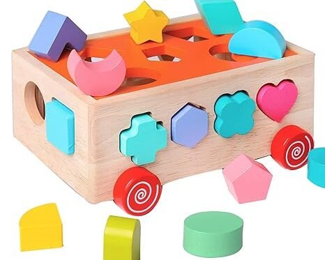 Montessori Wooden Shape Sorter Toy