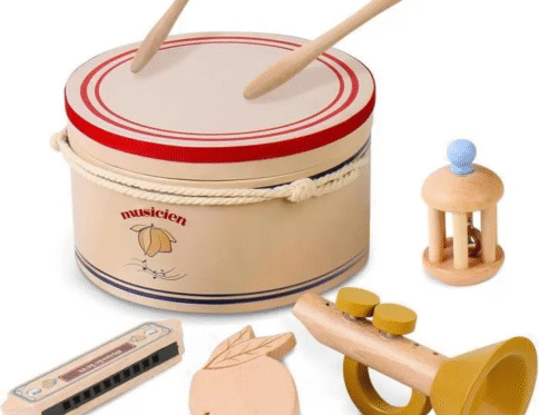 Little Performer – Baby Musical Instrument